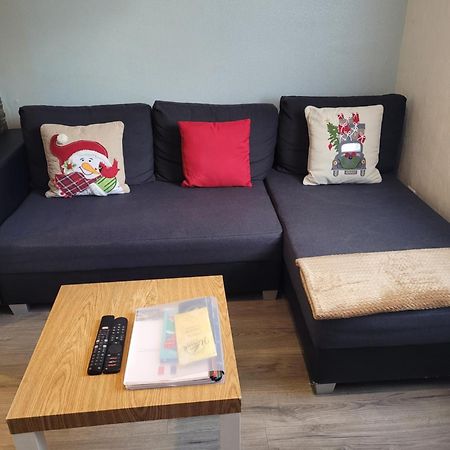 Appartement Au Cigogneau Wifi-Netflix-Balcon-Parking Munster  Esterno foto