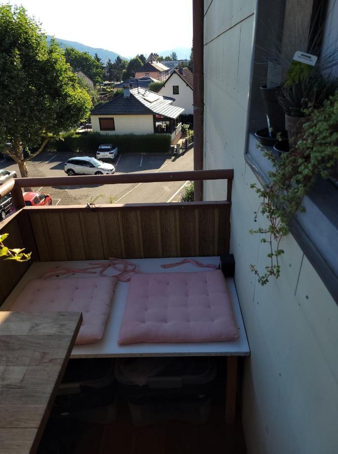 Appartement Au Cigogneau Wifi-Netflix-Balcon-Parking Munster  Esterno foto