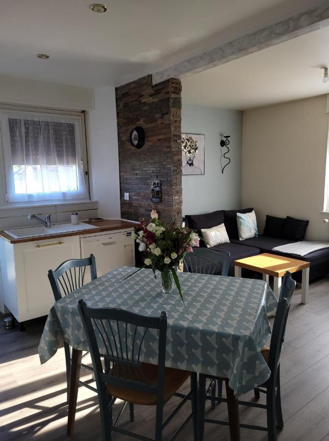 Appartement Au Cigogneau Wifi-Netflix-Balcon-Parking Munster  Esterno foto