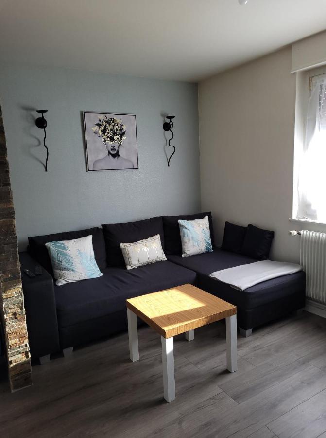 Appartement Au Cigogneau Wifi-Netflix-Balcon-Parking Munster  Esterno foto
