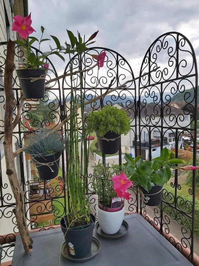 Appartement Au Cigogneau Wifi-Netflix-Balcon-Parking Munster  Esterno foto