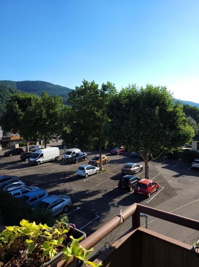 Appartement Au Cigogneau Wifi-Netflix-Balcon-Parking Munster  Esterno foto